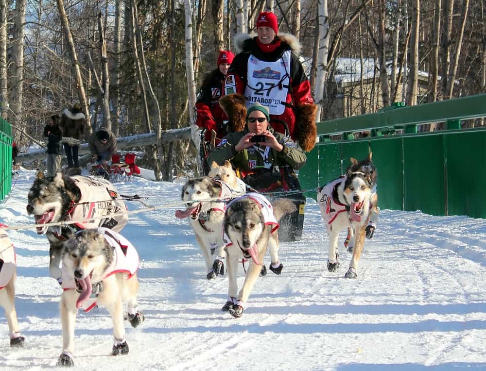 Dog Sledge