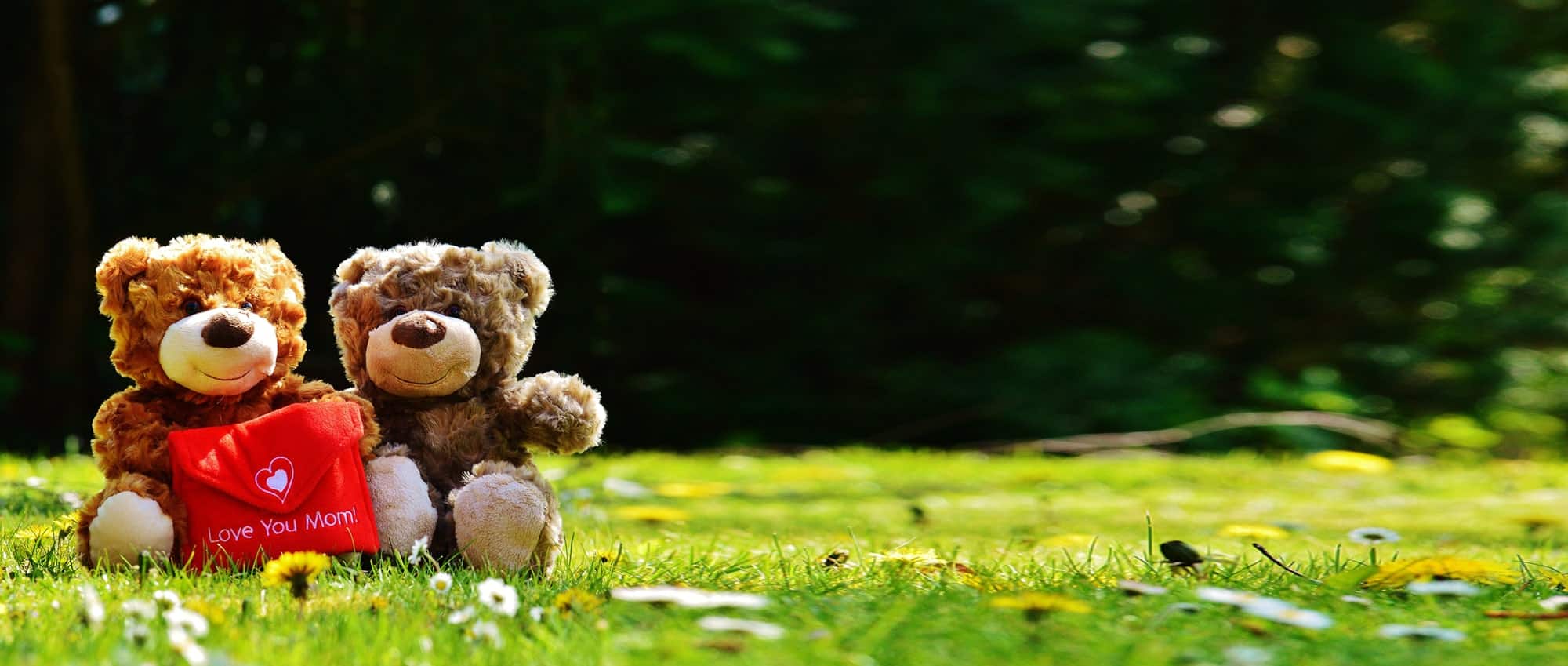 Why Highland Perthshire is the Perfect Destination for Relaxing Mother’s Day Breaks in Scotland