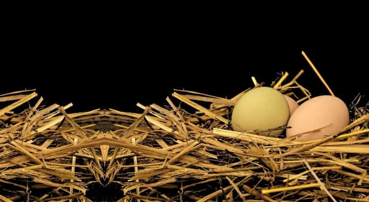 Easter Break 2020