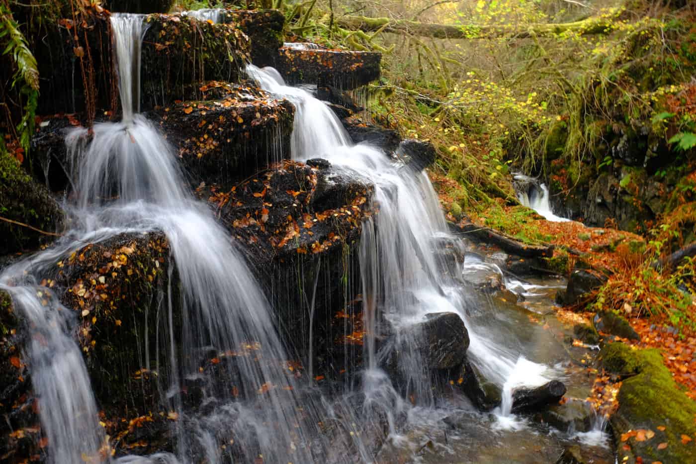 Birks of Aberfeldy