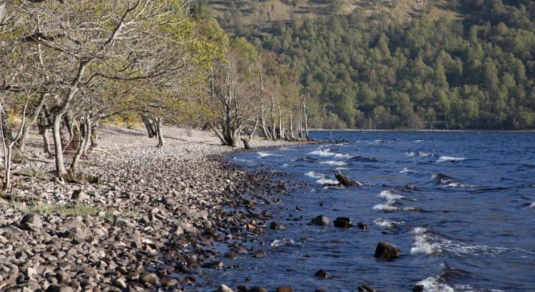 Springtime in the Highlands